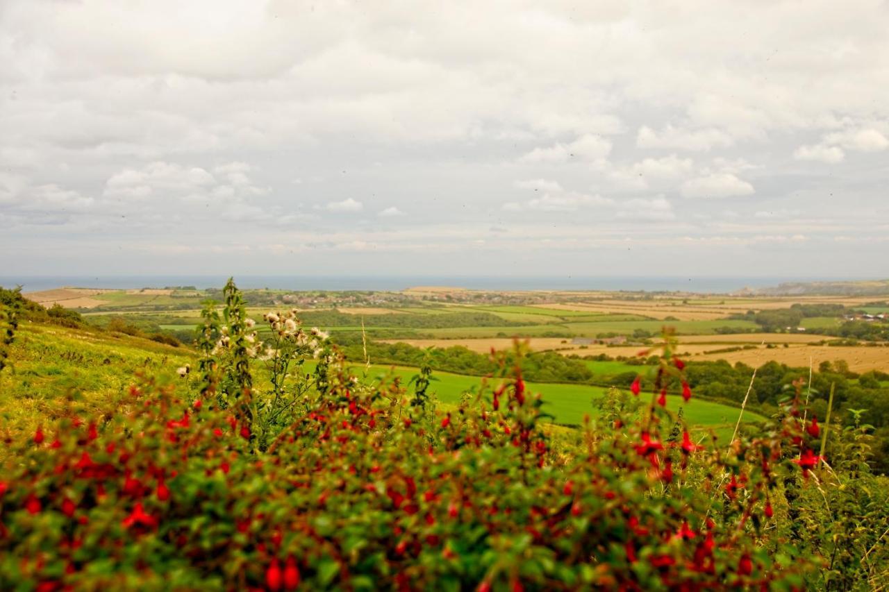 Spangle Cottage, Borrowby Farm Cottages Стейтс Екстериор снимка